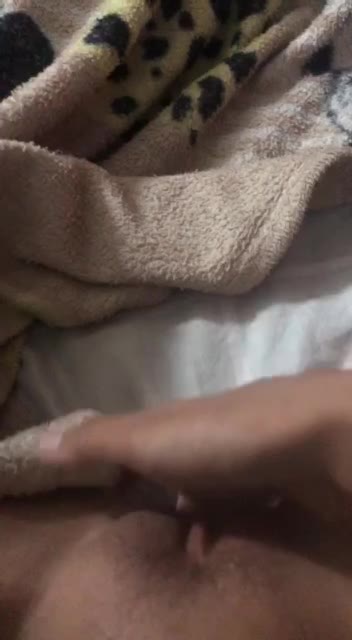 PVLYYY UPDATE 2